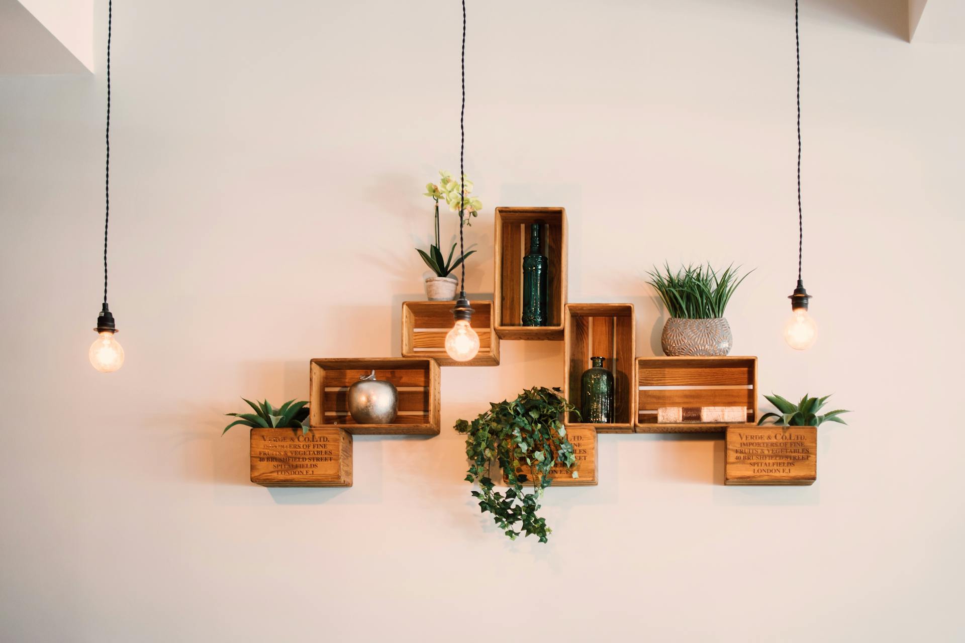 Wooden box shelves with various small plants, a silver sphere, and green glass bottles are mounted on a beige wall, flanked by two hanging exposed light bulbs.